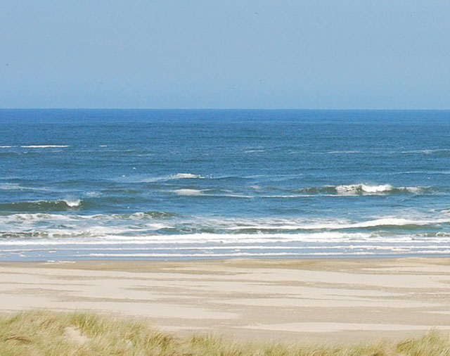 Coach voor zorgprofessionals managers directeuren | gezondheidszorg |