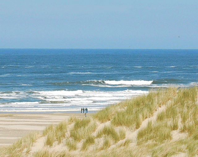 Kinderopvang|coach en sparringpartner voor zorgprofessionals managers en directeuren